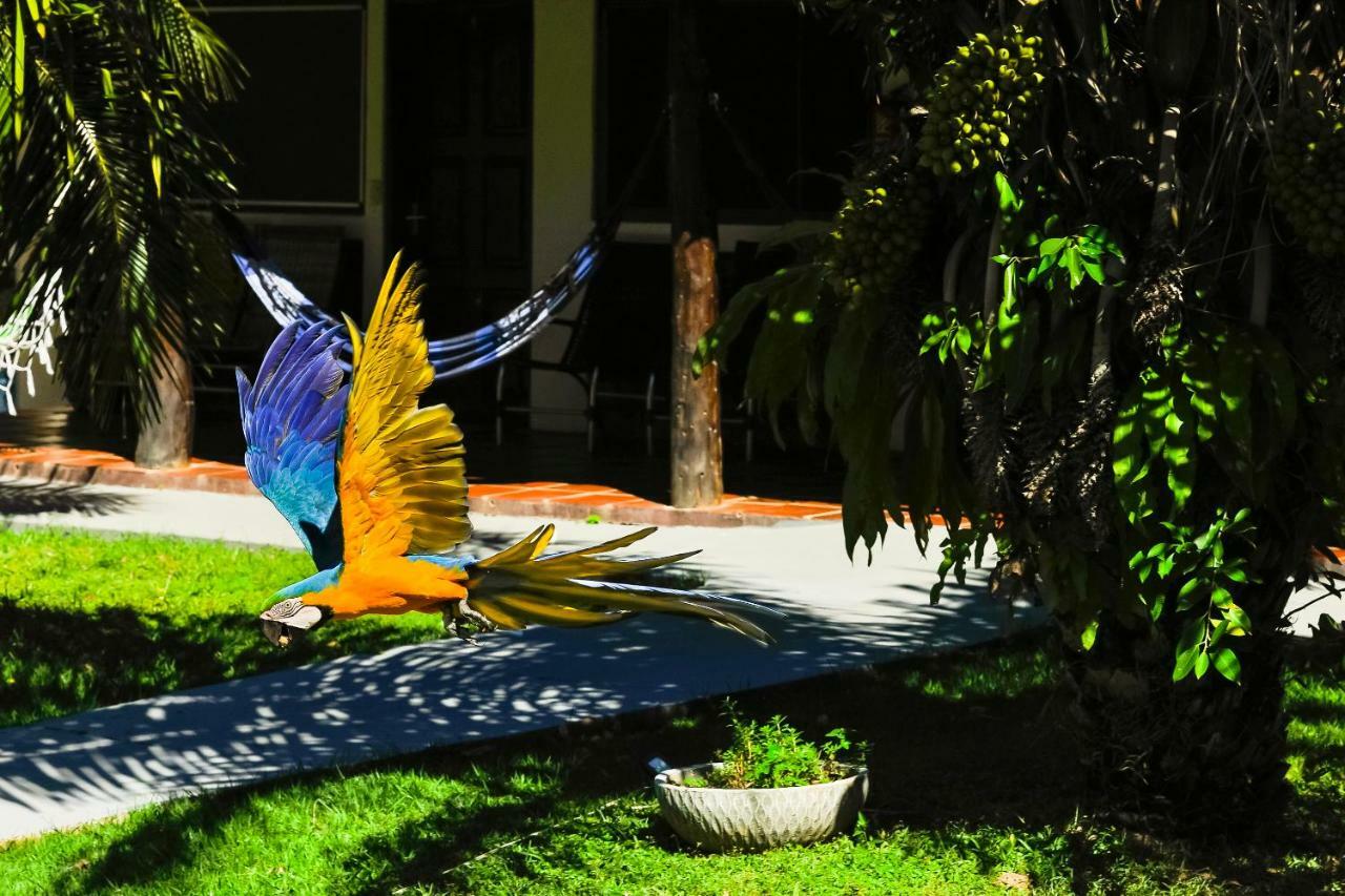 Pousada Piuval Poconé Dış mekan fotoğraf