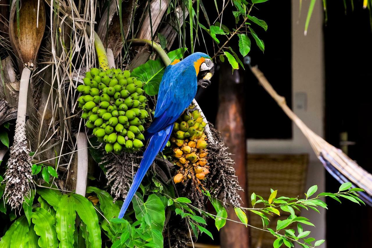 Pousada Piuval Poconé Dış mekan fotoğraf
